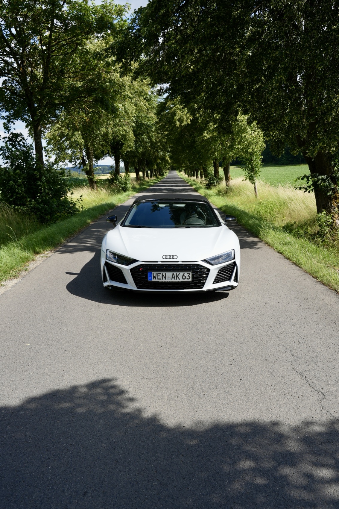 Audi R8 Spyder auf Allee in der Oberpfalz